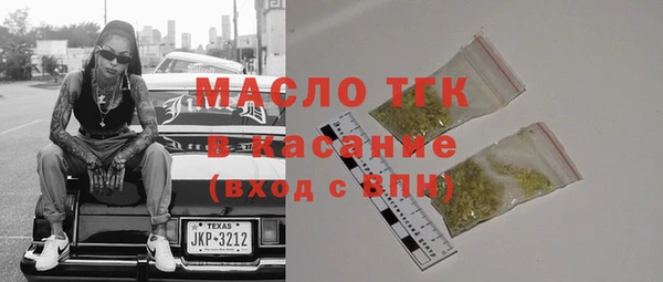 гашик Пестово