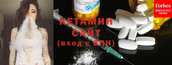 гашик Пестово