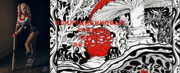 гашик Пестово