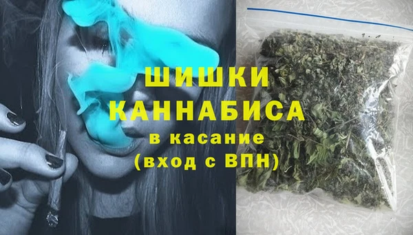 прущие грибы Корсаков