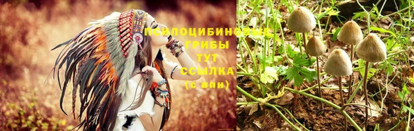 альфа пвп Пересвет