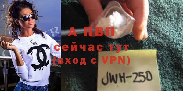 прущие грибы Корсаков