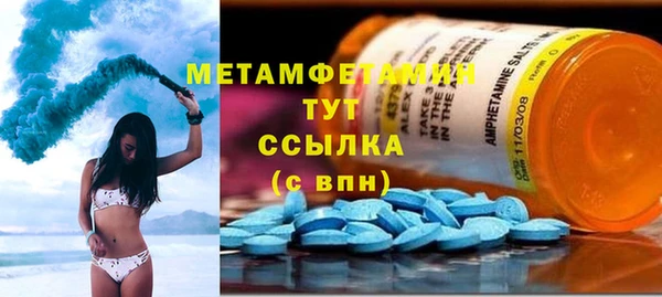 прущие грибы Корсаков